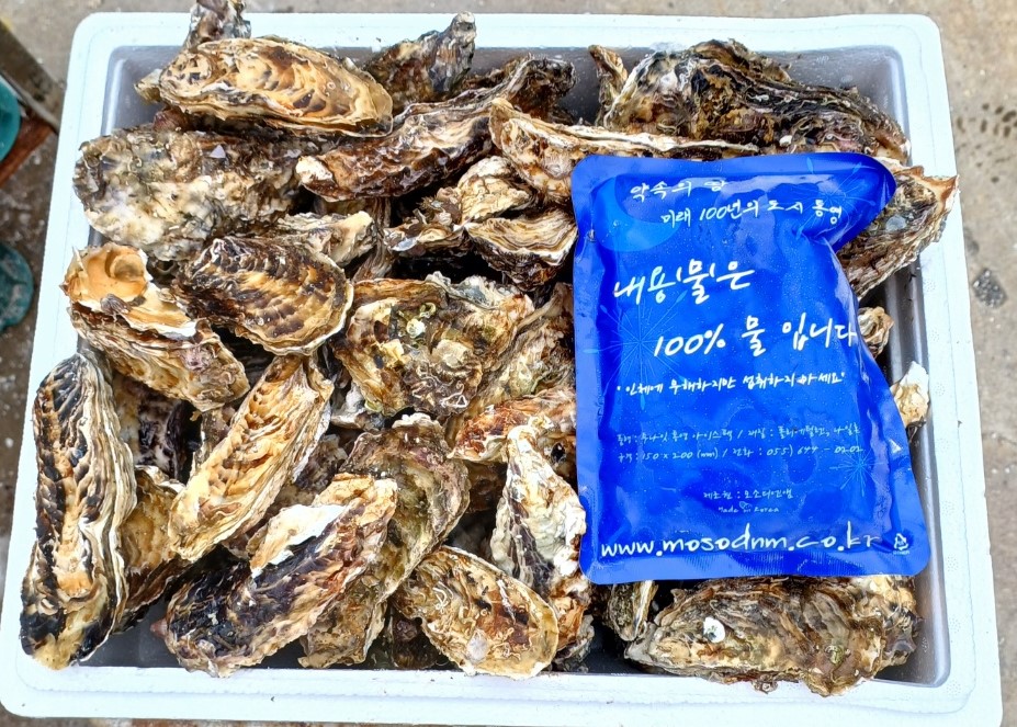 통영 제철 석화 5kg 무료배송 product thumbnail