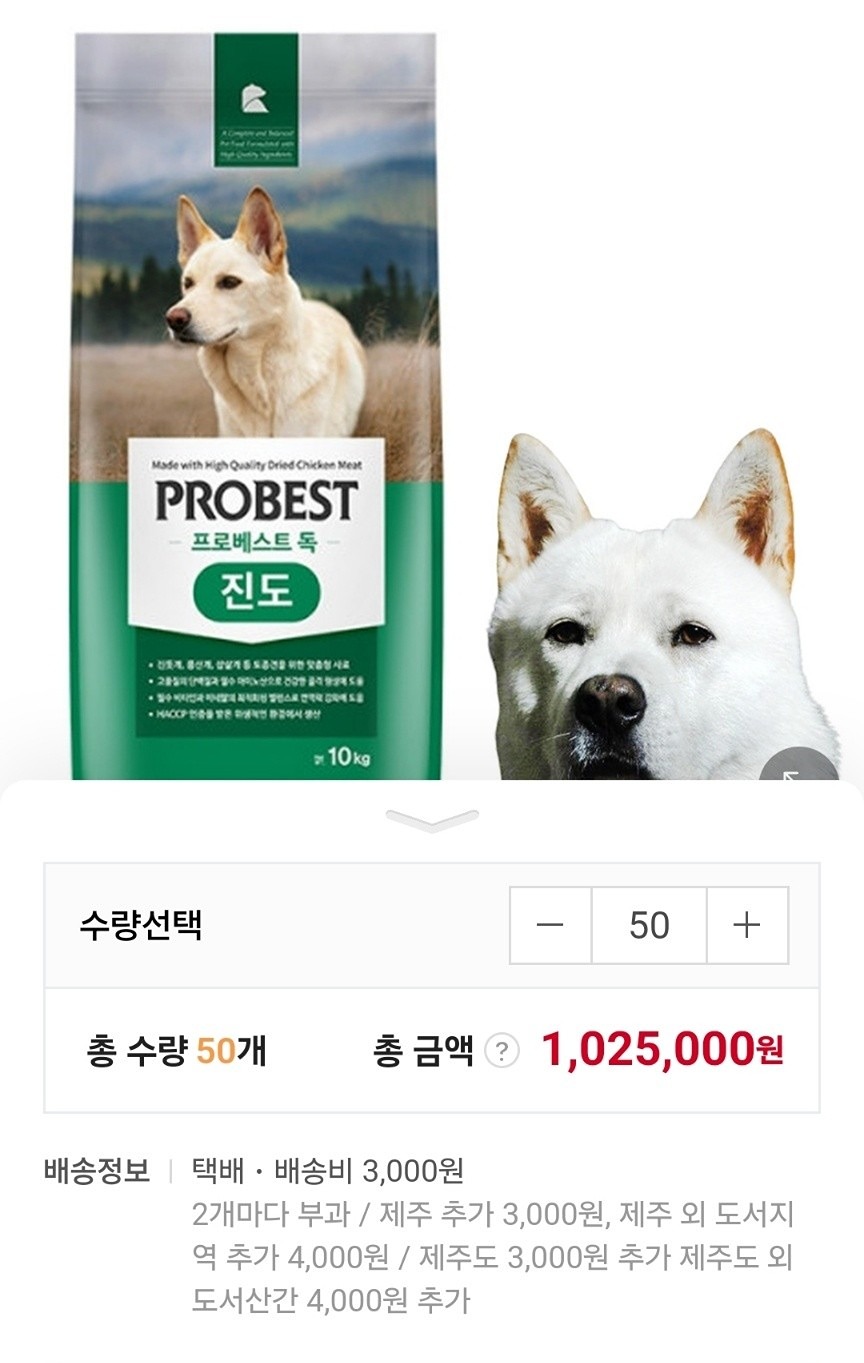 부동산 감성여행 동행 앨범 사진