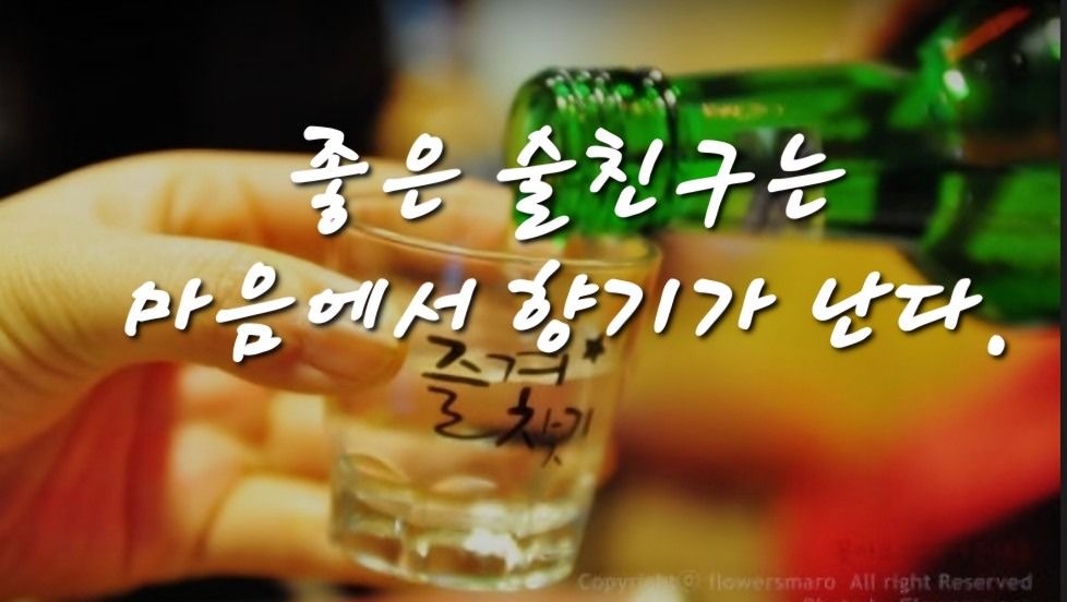 💕술 한잔해! 놀이터💕 💕40~50💕 앨범 사진