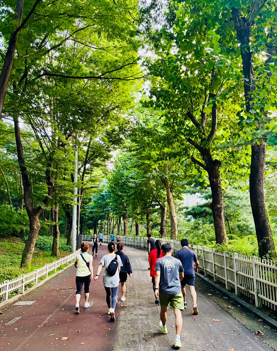 강서 산책 앨범 사진
