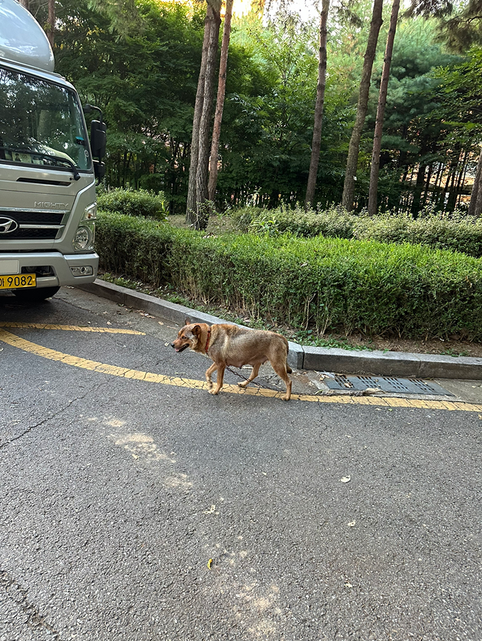 가온누리유치원