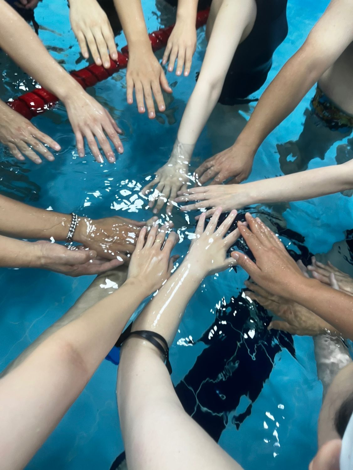 제주 실내수영 모임 🏊🏊‍♀️🏊‍♂️