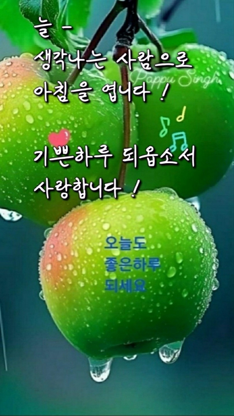 산책.찻집.맛집.가기 앨범 사진