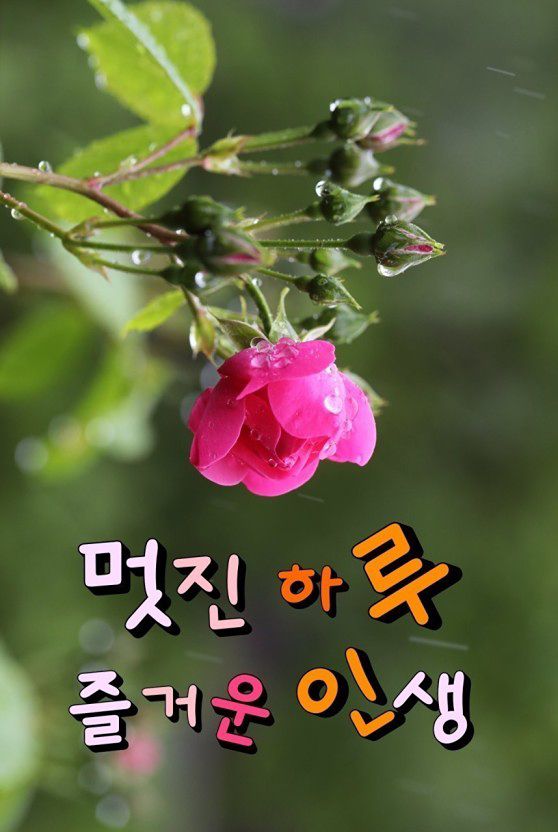 ✅❤️‍🔥2030 요즘 젊은이들❤️‍🔥✅