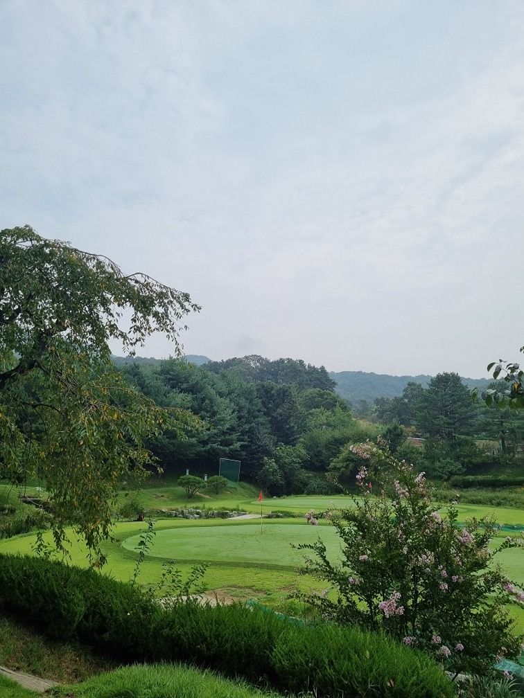 ⛳ 분당 골프 사랑 💥4050💥 앨범 사진