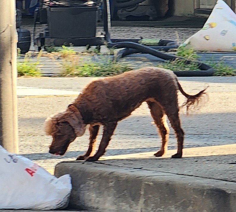 헤어토크