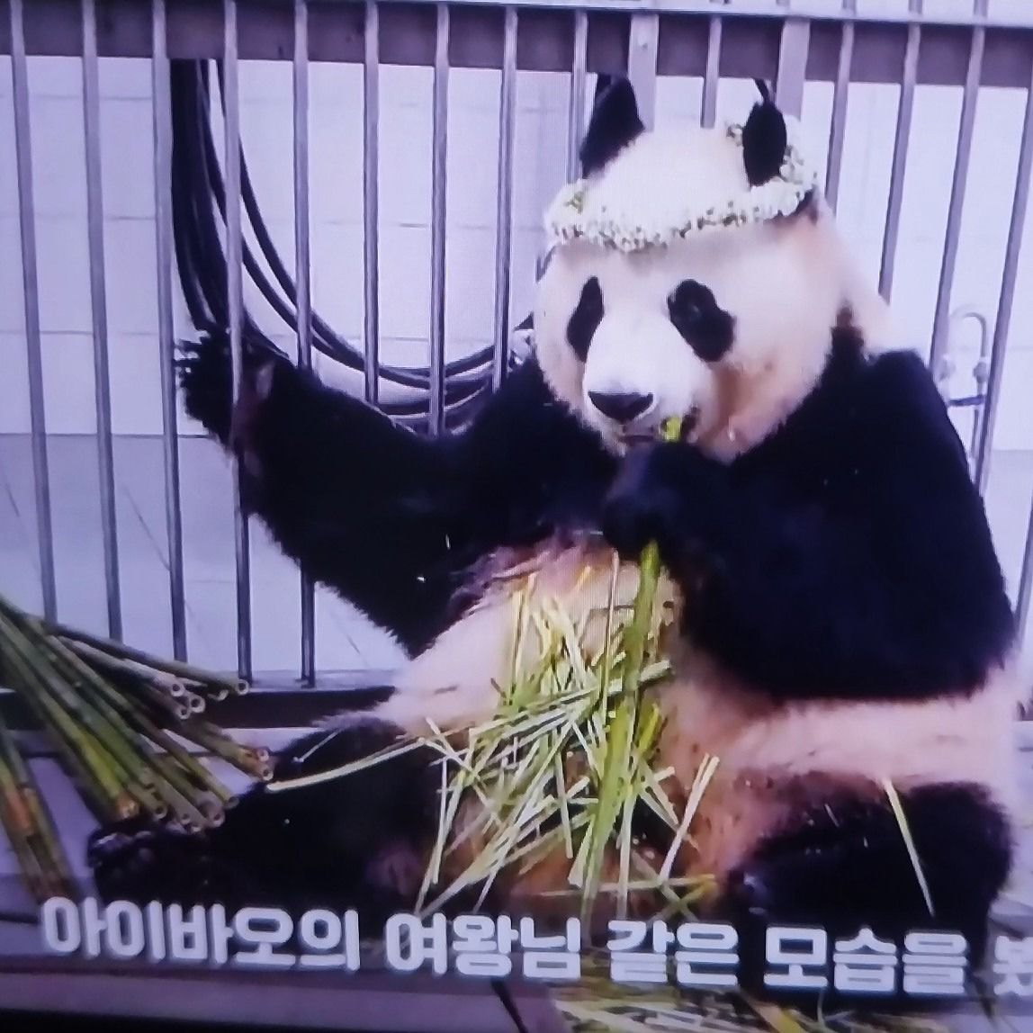 🎊29~35영화모임입니다.🎞📽🎬🎊 앨범 사진