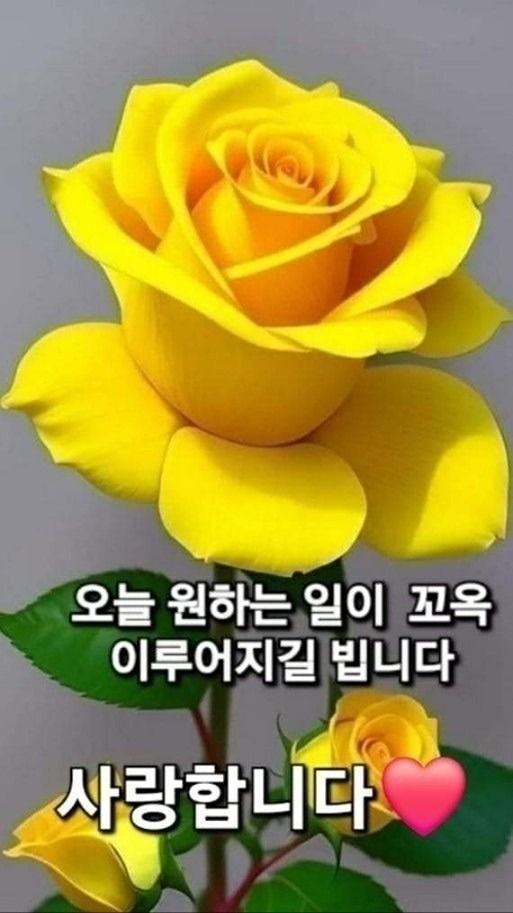 복사골FC 신규회원 모집 앨범 사진