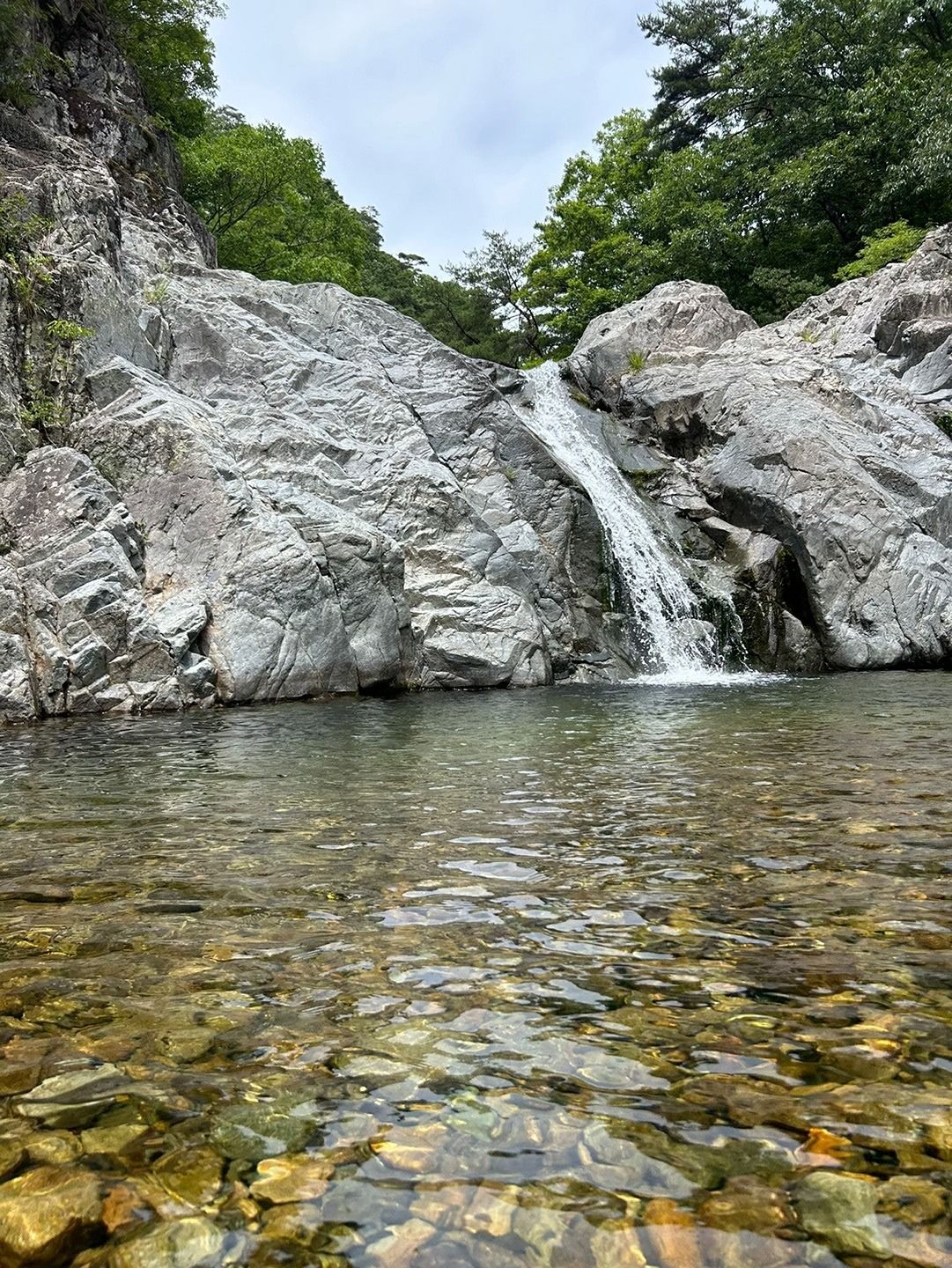 🌈 포항 무지개 4.0