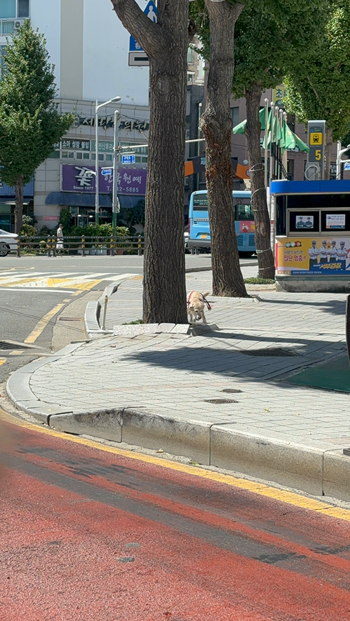 이디야커피 부산동대신역점