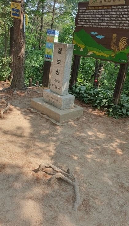 77년 느낌있는 친구들! 앨범 사진