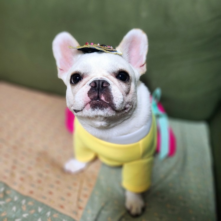 해피 추석 보내세요😃💫❣️