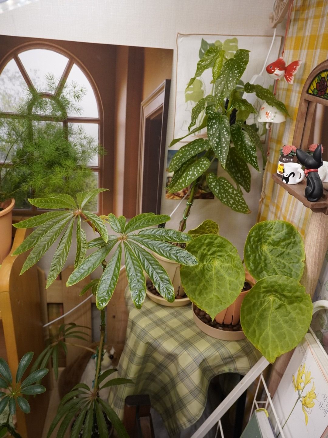 🌴2030식물집사소통모임🦫💚