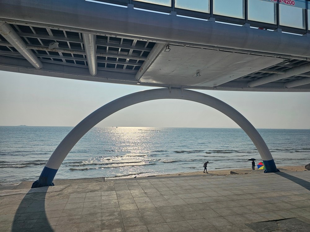 모임활동