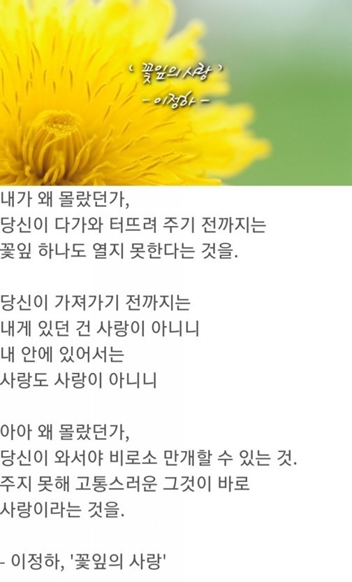 활.보(활동지원사의모임) 앨범 사진