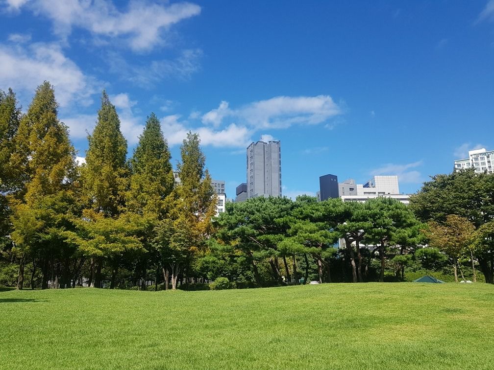 여의도 산책 모임 앨범 사진