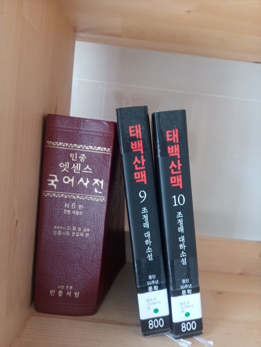 태백산맥 조정래
고등학교때 인물관계도를 그리고 사전을 찾아가며 읽던 책이 50주년기념 개정판으로 나왔다

이데올로기에 나뉜 사람들의 이야기
역사 속에 대치한 사람들의 신념이 얽힌 이야기
지금의 시대를 사는 나에게 물어볼 용기도 낼 수 없을만큼 치열한 삶을 살아간 인물들이 살아났다
그리고 어떤 삶을  살아갈 거냐고 재촉하듯 마음이 떠밀리듯 나아가기 시작한다