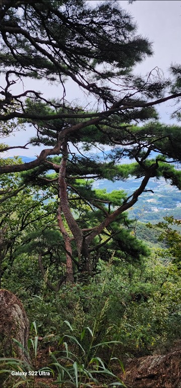 ♧산타마리오~^^산악회♧ 앨범 사진