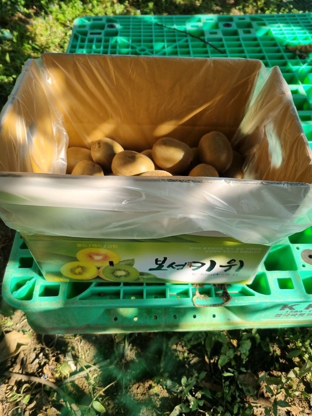 22년생 성수 엄마친구 아가친구 모여요❤️ 앨범 사진