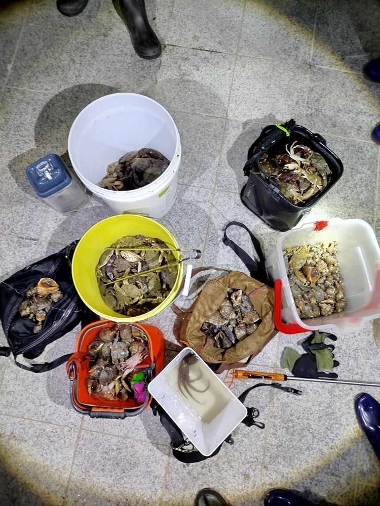 돌싱해루 앨범 사진