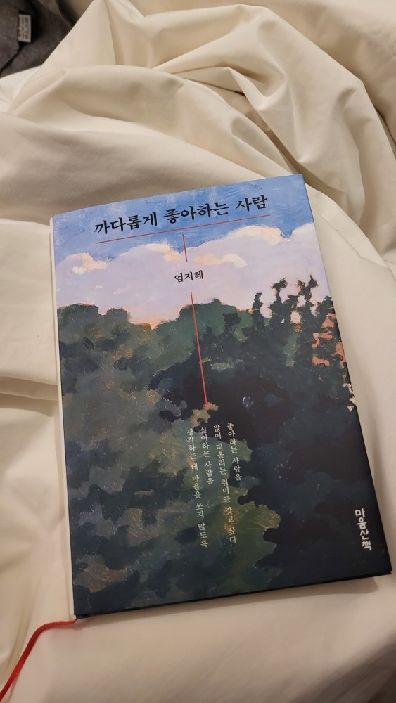 📚  만나서 각자 책읽기 📚  앨범 사진