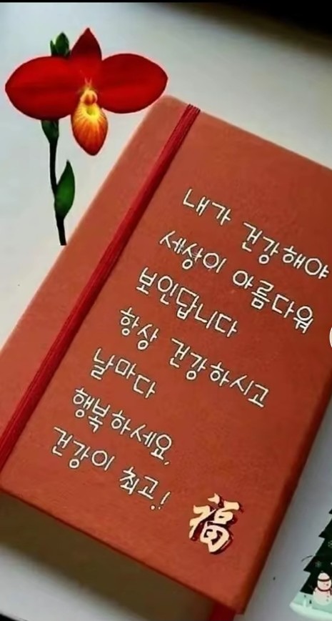 싱글 삶이란 어울림 이다~~ 앨범 사진