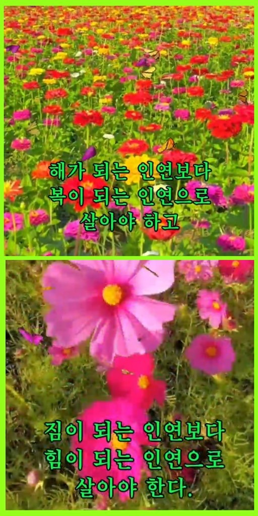 ■[낭만여행]_대청보옥금_세�공부논계
(대전,청주,보은,옥천,금산_세종,공주,부여,논산,계룡) 
*우리가 살고있는,
가까운곳 주변부터 숨겨진곳, 아름다운곳, 안가본곳, 못가본곳!

🍀좋은인연을 만들어 가는 [낭만여행]☘️