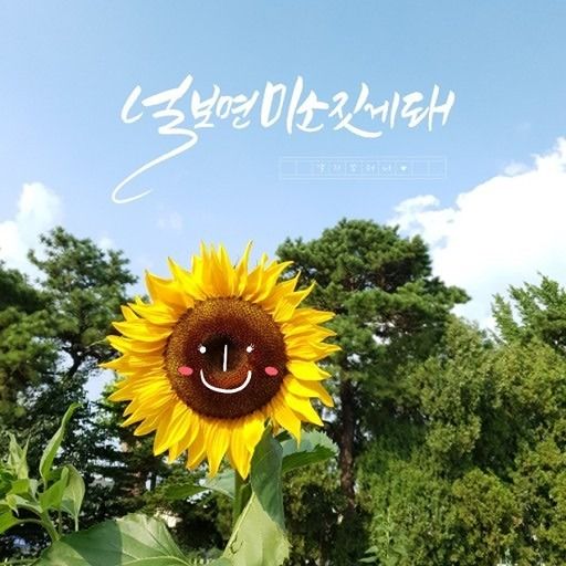 🎀논알콜 인천 부천 70~88 친목모임🎀 앨범 사진