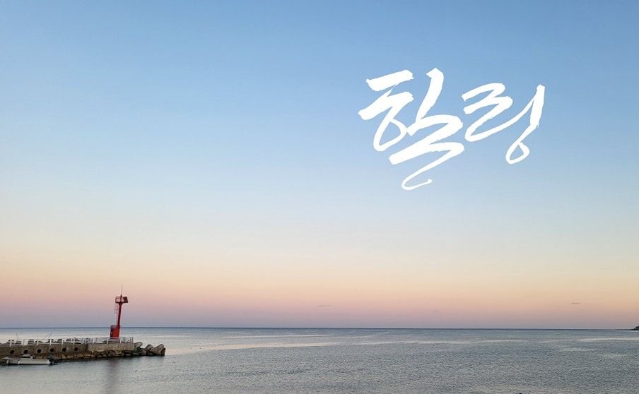 캘리그라피(+독서) 앨범 사진