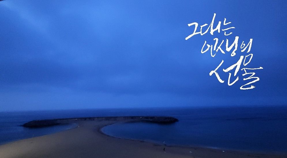 캘리그라피(+독서) 앨범 사진