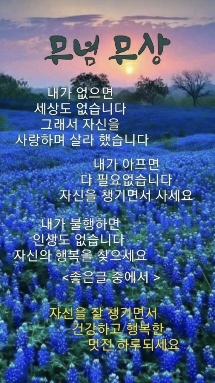 마데카솔(마음치유) 앨범 사진