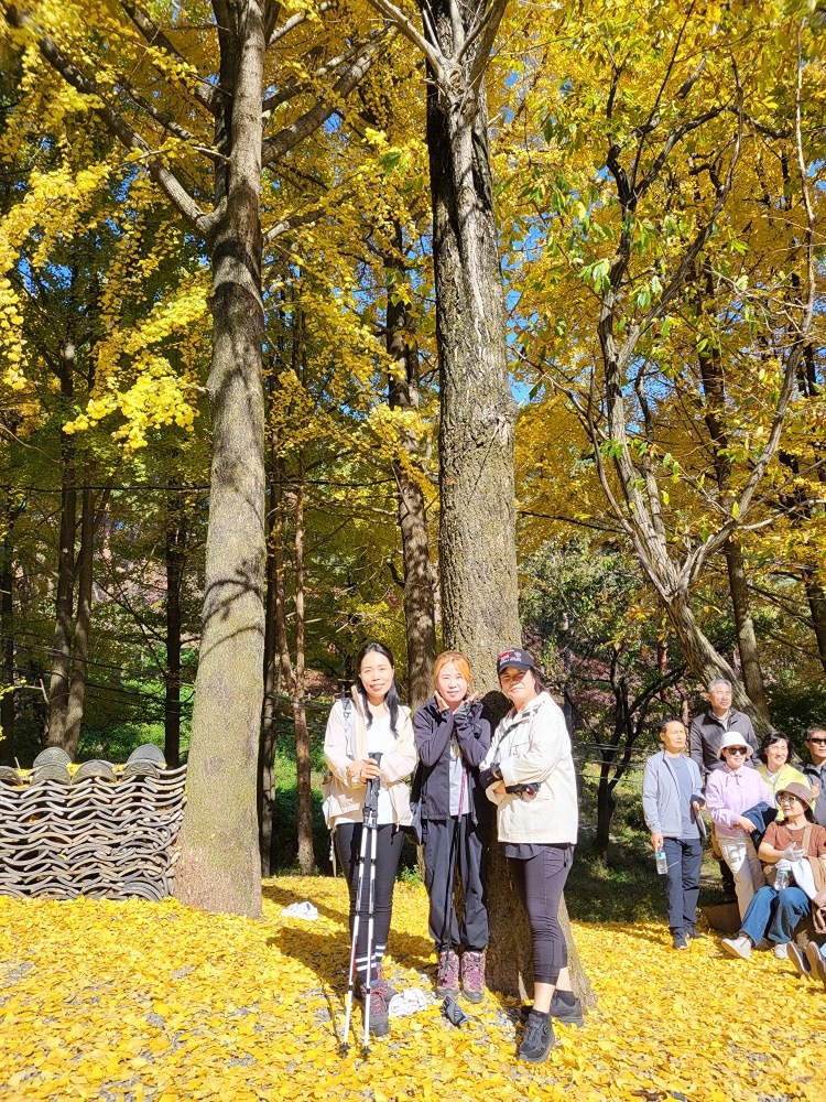 등산사랑(등사모) 앨범 사진