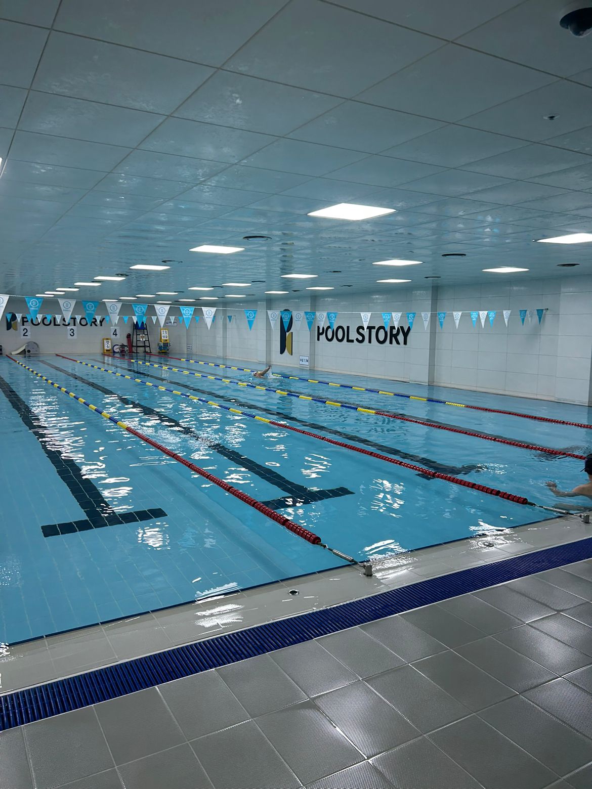 제주 실내수영 모임 🏊🏊‍♀️🏊‍♂️ 앨범 사진