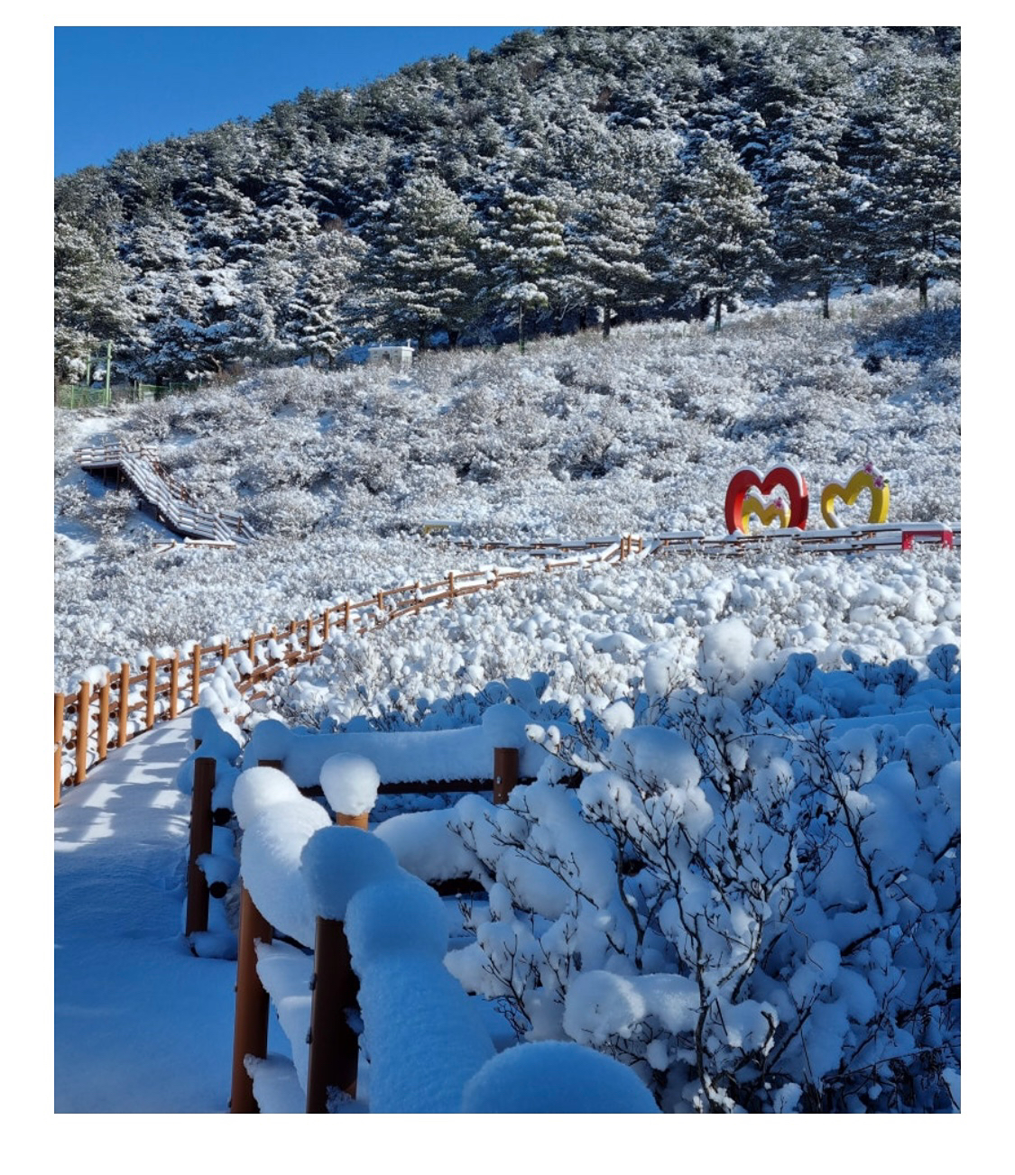 지리산 바래봉 눈꽃 산행