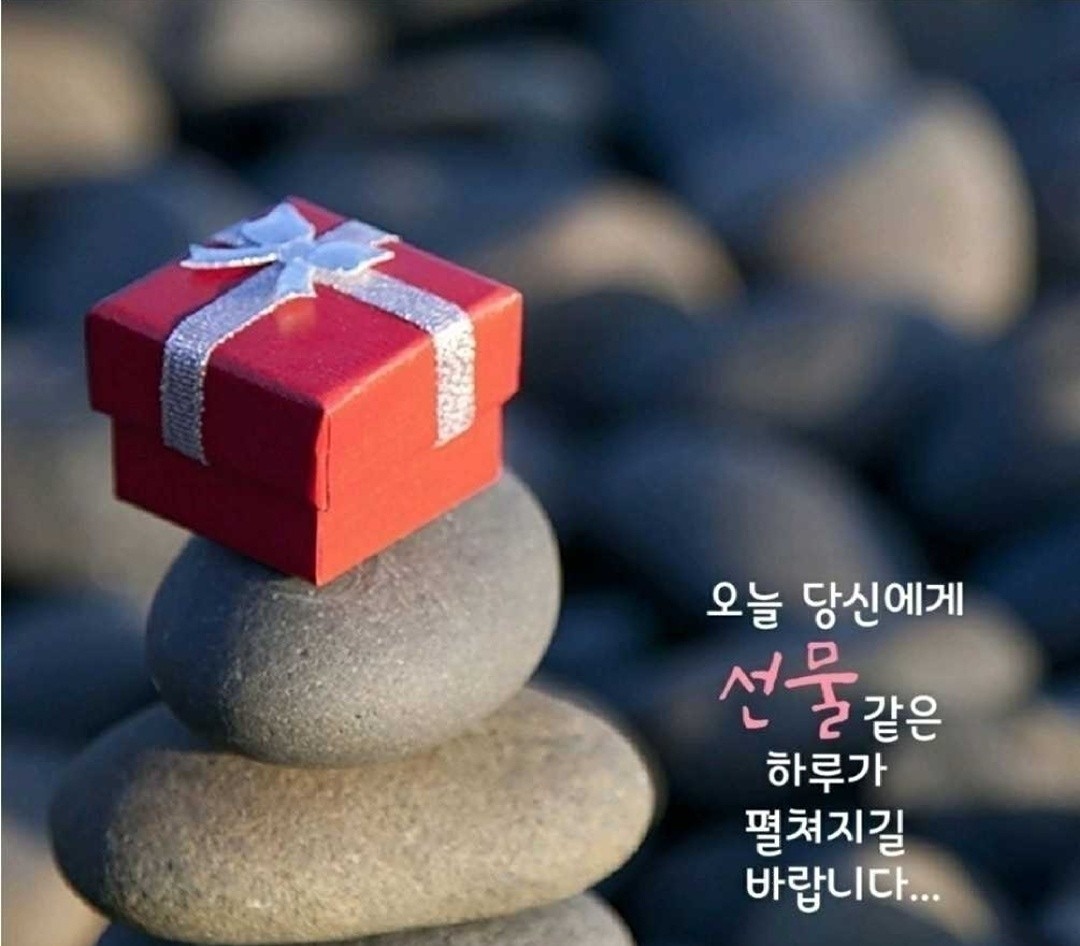 밴드공연도보고 노래도부르며 신나게놀기^^