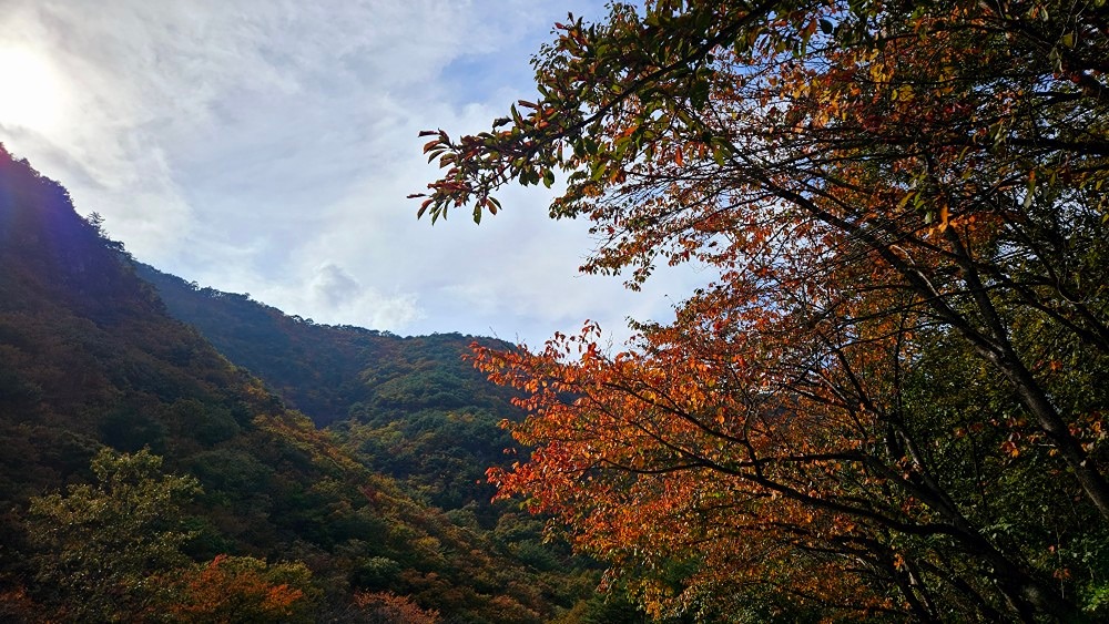 어린이대공원~선암사~애진봉~백양산