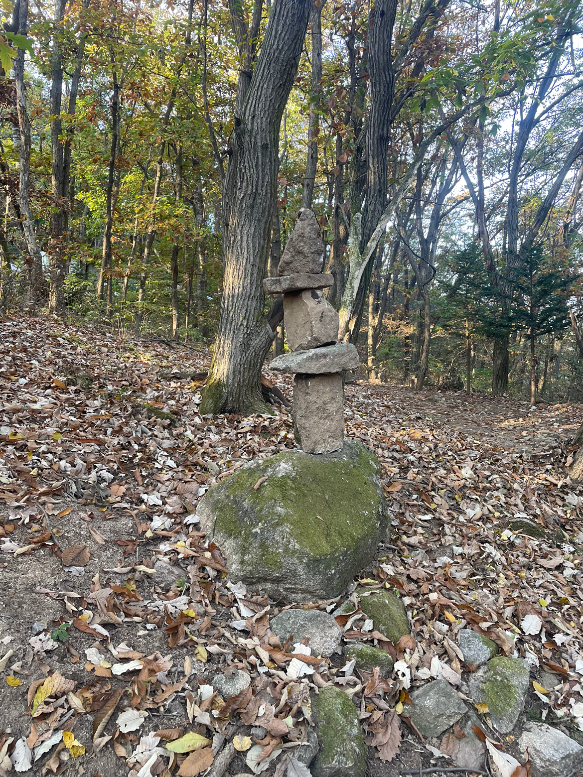 이山저山 (경기북부 초보산행모임) 앨범 사진