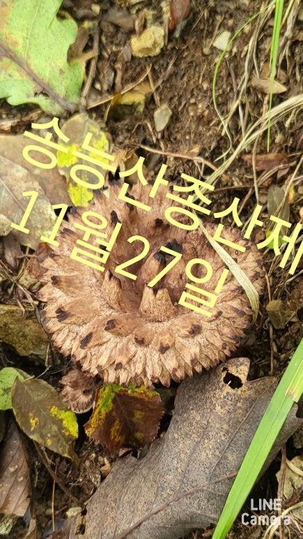 종산제