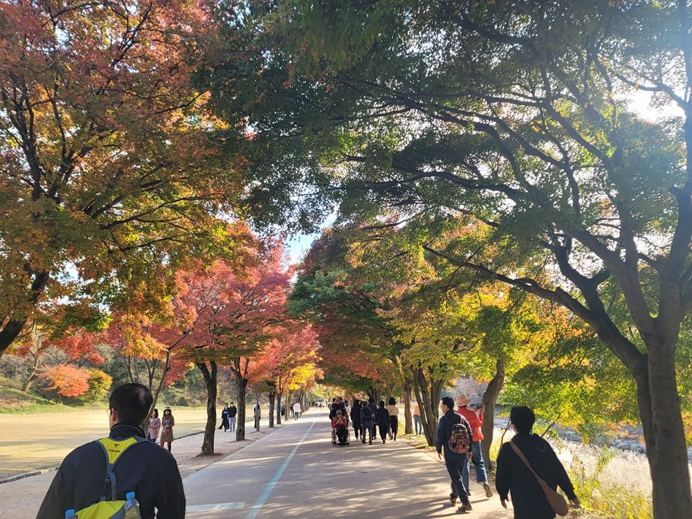 해남 달마산 산행& 달마고도 둘레길 트레킹! 앨범 사진