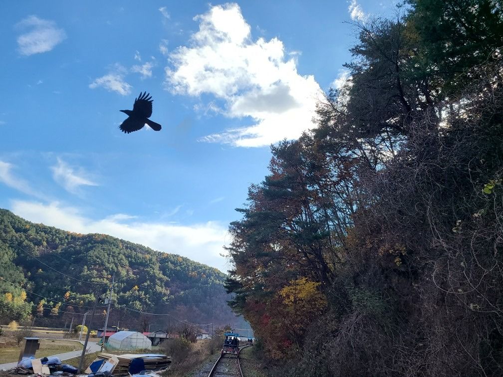 5060좋은사람들...🤪 앨범 사진