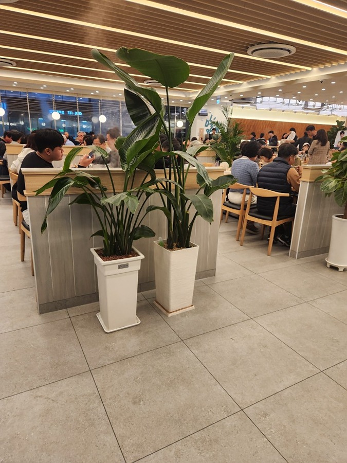 샤브올데이 부산화명점 picture 2