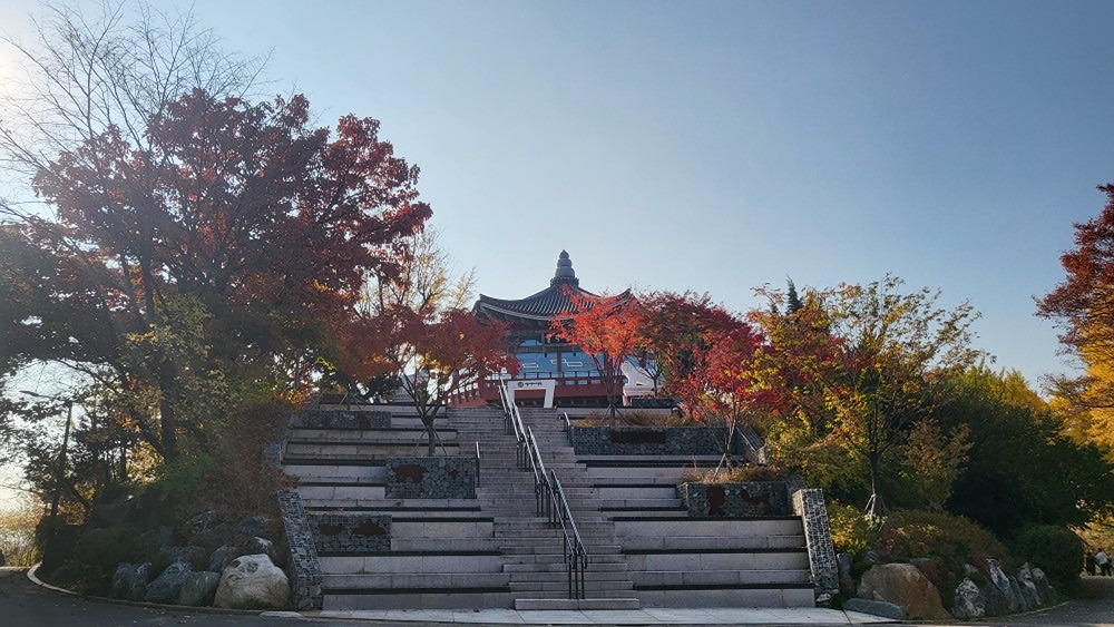 육아 강동맘)23년-25년생 아가들 산책❣️ 앨범 사진