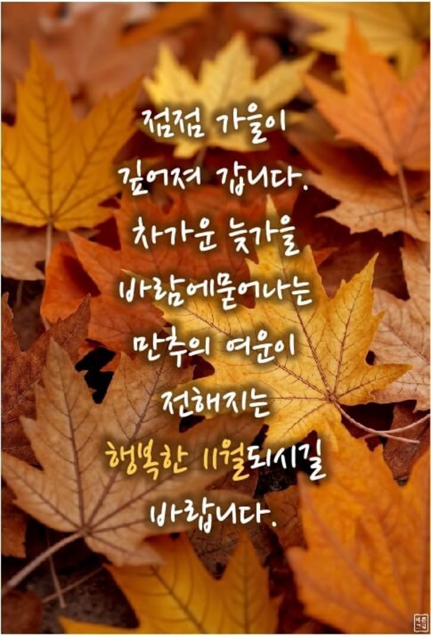 11월 정기모임 합니다.