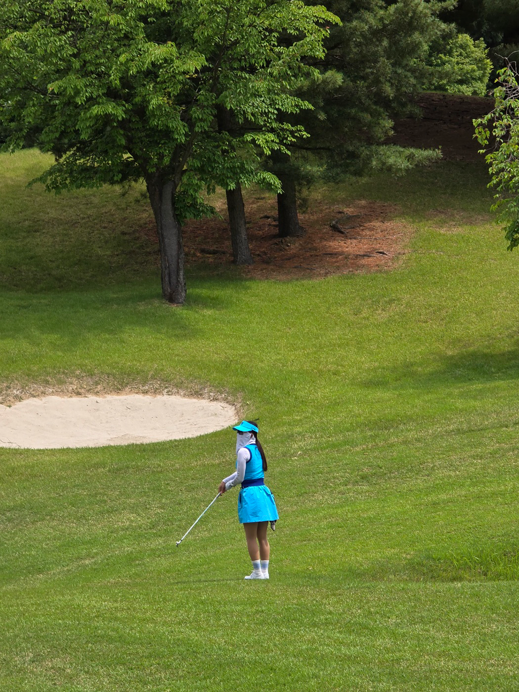 강남골린스🏌🏻 앨범 사진