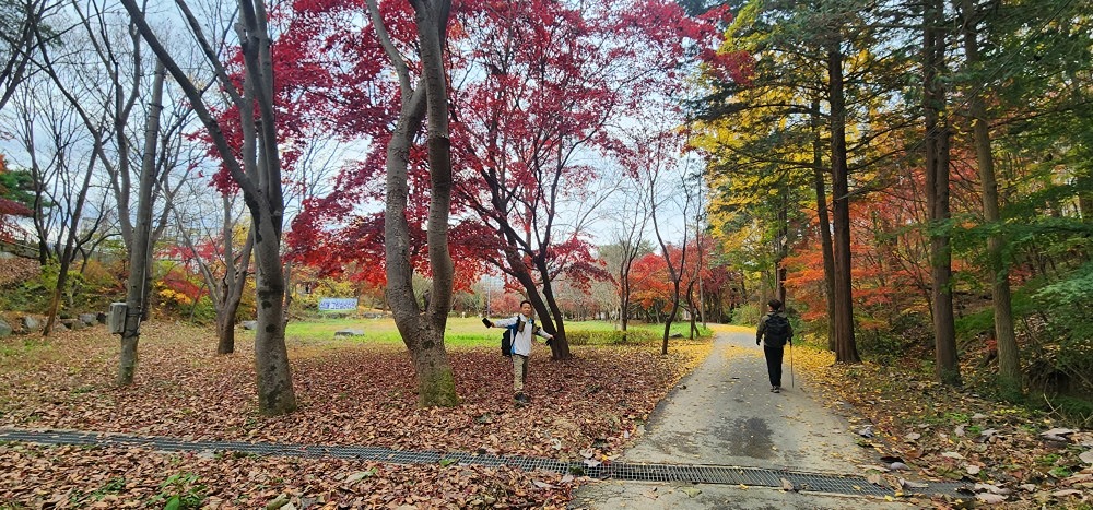 산행여행 앨범 사진