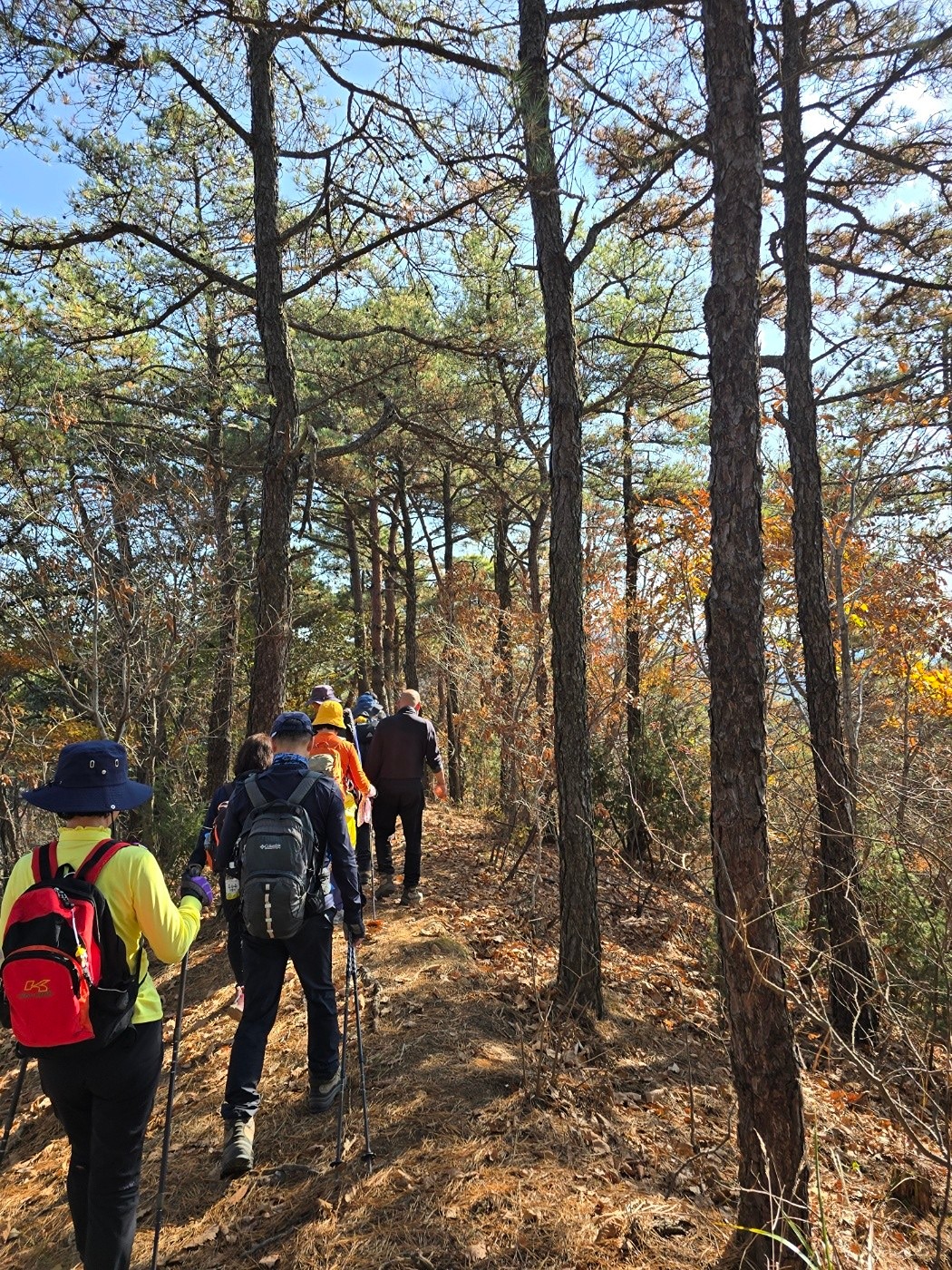 매월 3째주 산악회  일요일 앨범 사진