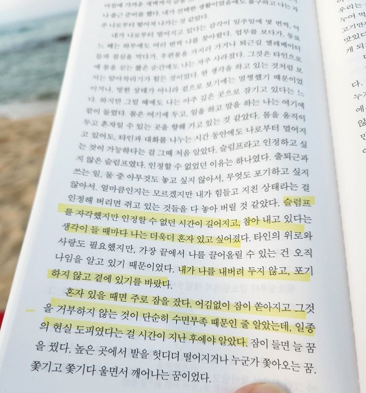보통의 술책가 앨범 사진
