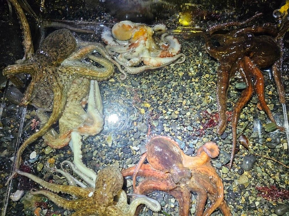 해루질♡바다사랑방 앨범 사진