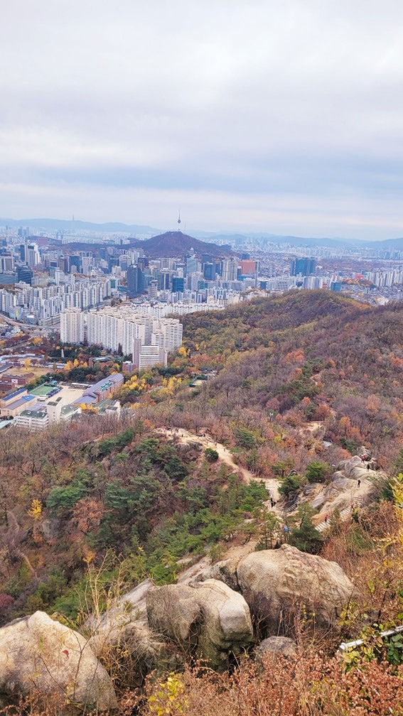 🗻⛰️마이크로 하이킹 크루 은평👊🏻 앨범 사진