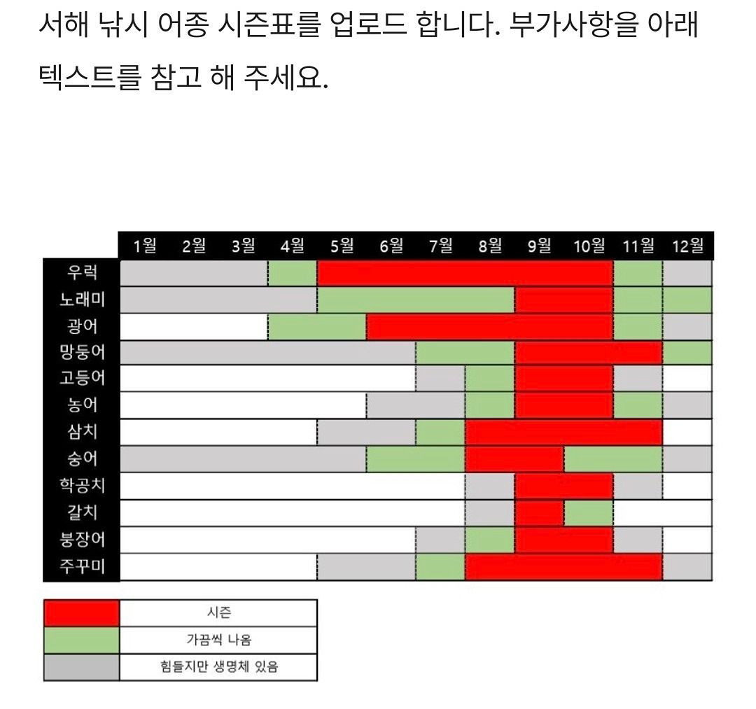 고양시낚시 / 즐거운낚시생활 여러장르환영해요 앨범 사진